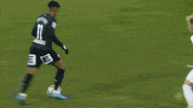 Goal Bundesliga GIF by SK Sturm Graz