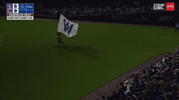 Chicago Cubs Baseball GIF