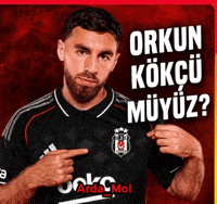Kokcu GIF
