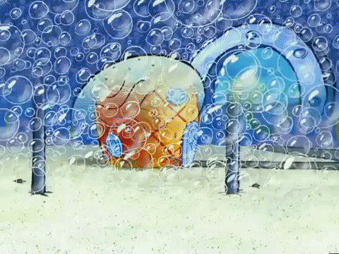season 5 to love a patty GIF by SpongeBob SquarePants