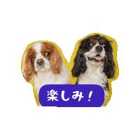 Dogs Smile Sticker