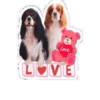 Cavalierkingcharlesspaniel Love Sticker