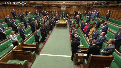 house of commons silence GIF by euronews
