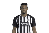 Partizan Sticker by sportmts