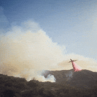 Los Angeles California GIF by PBS Digital Studios