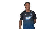 tsg hoffenheim no Sticker by Bundesliga
