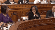 news impeachment inquiry val demings GIF