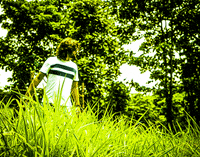 Tiger Forest GIF by da sachin