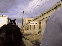 Vintage Vhs GIF by jorgemariozuleta