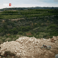 Travel Running GIF by TRT