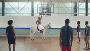 White Horse Basketball GIF by Old Spice