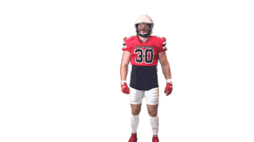 Defense Wheeler Sticker by Richmond Spiders