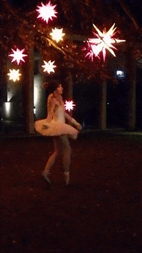 julieboehm dog night model dancer GIF