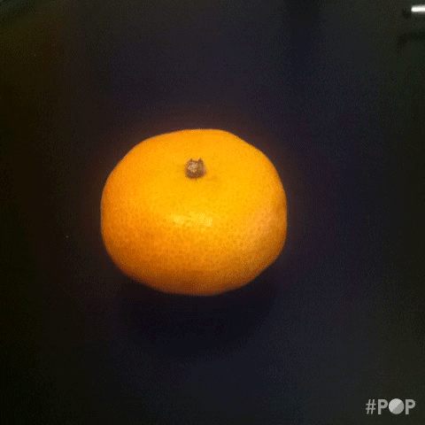orange GIF by GoPop
