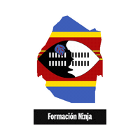 Flag Bandera Sticker by Formación Ninja