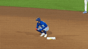 Blue Jays Baseball GIF by Toronto Blue Jays
