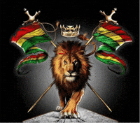 jah rastafari GIF
