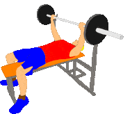 Sport Illustration Sticker