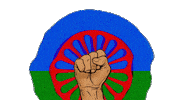 Roma Gypsy Sticker by FaraOana