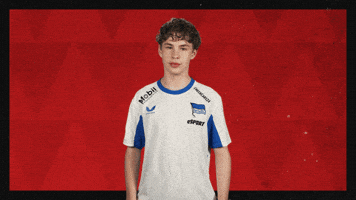 Hertha Bsc Applause GIF by Bundesliga