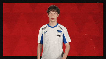 Hertha Bsc Football GIF by Bundesliga