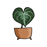 Plant Sticker by Monstera Mania