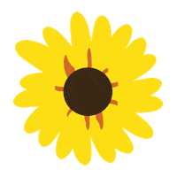 beauty flower Sticker by Rollover Reaction