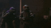 Teenage Mutant Ninja Turtles Mikey GIF