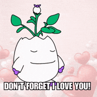 In Love Hearts GIF by Magic Eden