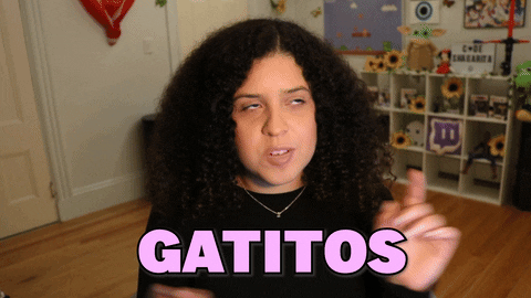 Cat GIF