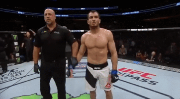 ufc 210 GIF