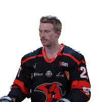 Fight Hockey Sticker by Saale Bulls