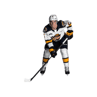 ottershockey ohl erie otters otters hockey erie otters hockey Sticker