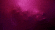 music video guys my age GIF by Hey Violet