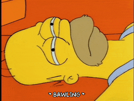 homer simpson GIF