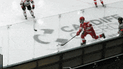 Ice Hockey Nihl GIF by Cardiff Fire