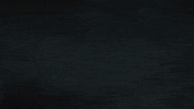 Assassins Creed Ubisoft GIF by Xbox