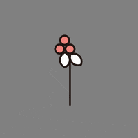 tetemarche_mochizuki recipist レシピスト GIF