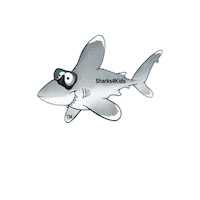 Sharks4Kids ocean shark sharks fin Sticker
