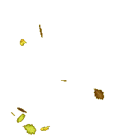 Falling Leaves Fall Sticker by Home Brew Agency