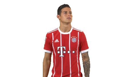 fc bayern what Sticker by Bundesliga