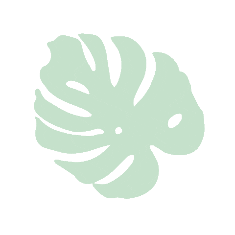 Naturaleza Monstera Sticker by lamagiadeemprender