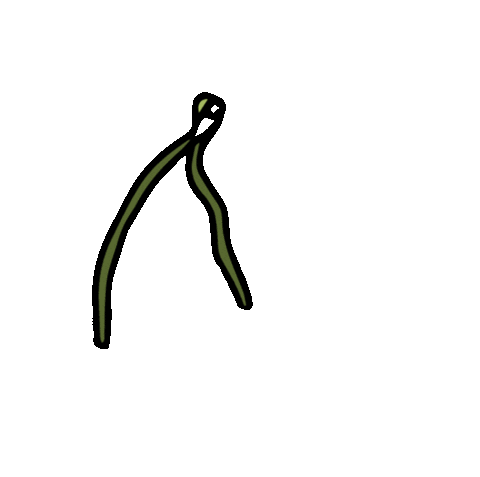 Animated Sticker