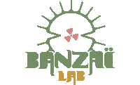 Art Festival Sticker by BanzaiLab