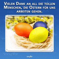 mdr GIF by Mitteldeutscher Rundfunk
