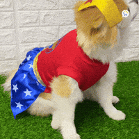 Halloween Envios GIF by Cómpralo en Casa