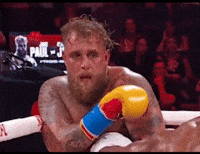 Jake Paul Boxing GIF