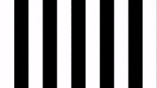 Football Soccer GIF by SK Sturm Graz