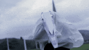 Isle Of Man Folklore GIF by Culture Vannin