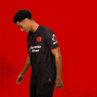 Bayer 04 Bundesliga GIF by Bayer 04 Leverkusen